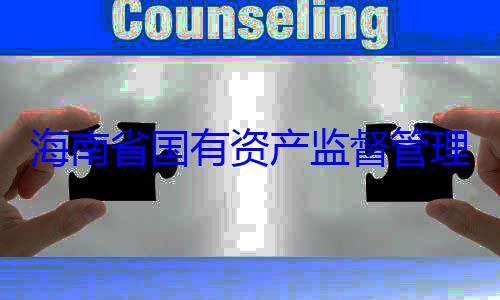 委副书记王资产监督管有福接受审海南省国有查调查理委员会党